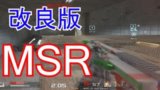 【AVA】いろぶき！まだまだ強くなる可能性を持っている・・・忘れられたAR【MSR 15 high Speed】