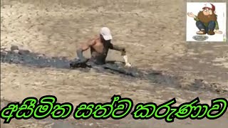 අසරණ කමට පිහිට වන මිනිසුන්