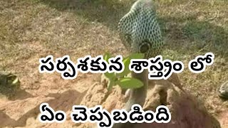 సర్పశకున శాస్త్రం లో సర్పాలు మనకు ఎదురైతే ఏం చెప్పారు