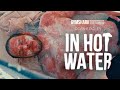 BOILED ALIVE! Ross Edgley attempts swim record in 48°C/118.4°F