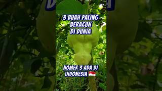 3 Buah Paling Beracun Di Dunia (Nomer 3 Ada Di Indonesia) #shorts #buah #popgram