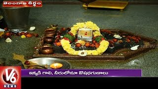 Special Story On Bugga Ramalingeswara Swamy Temple In Vikarabad | Telangana Theertham | V6 News