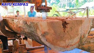 Penggergajian Kayu Kempas/Kayu Menggris | Sawmill & Woodworking Tips