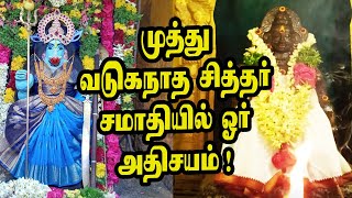 முத்து வடுகநாத சித்தர் சமாதியில் ஓர் அதிசயம் | #varahi  |  @channelartindia