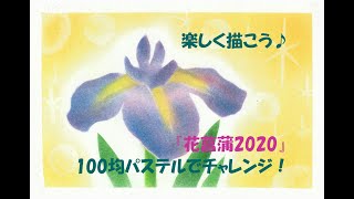 パステルアート382「花菖蒲2020」の描き方　100均パステルでチャレンジ！楽しく描こう★