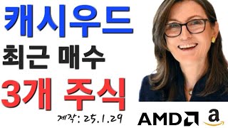 캐시우드 최근 매수 3개 주식