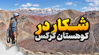 جستجوی سنگ های قیمتی در کوهستان باستانی کرکس🔍✨ | آموزش شکار سنگ های قیمتی