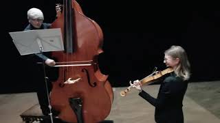 Octobass VS Violin