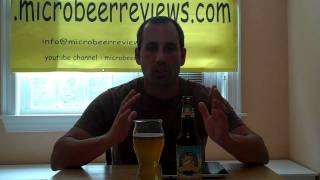 SummerTime Ale Beer Review from Goose Island