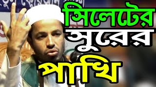 Sylheti Waz | ঘটনা বলে আমলের শিক্ষা | Maulana Muhibur Rahman Shalla