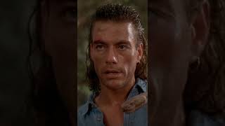 JCVD PUNCHED a Snake