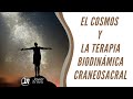 Terapia Biodinamica Craneosacral y el Cosmos