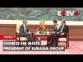 Chinese FM Meets President of Eurasia Group