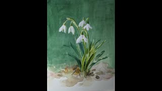 snowdrops in watercolor #short