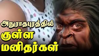 அநுராதபுரத்தில் குள்ள மனிதர்கள் நடமாட்டம்! பெண்ணொருவருக்கு நடந்துள்ள விபரீதம்