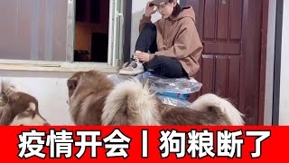 疫情买不到狗粮，得跟狗子们开个家庭会议：省吃俭用！【钱袋爱吃肉】