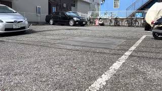 【猫動画】雷ちゃん駐車場散歩