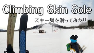 【スノーハイク】登り重視のClimbing Skin Soleの滑走 ☆スキー場で滑ってみた！青森のスキーブランド ブルーモリス