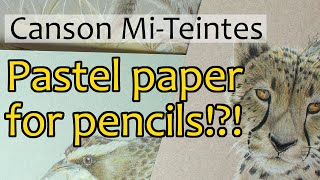 CANSON MI-TEINTES PAPER - What is it? Using pastel paper for coloured pencils, product review