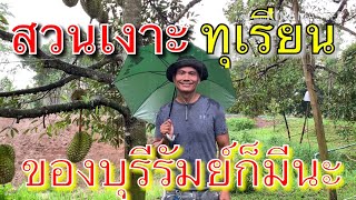 สวนเงาะทุเรียนที่บุรีรัมย์ก็มีนะครับ รสชาดดีมากๆEP.1