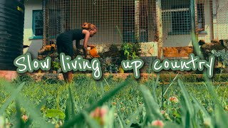 Slow living upcountry | morning chores | watering flowers🌸 cooking and cleaning #slowliving