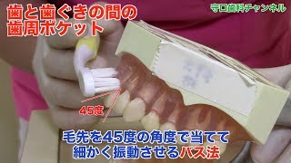 【盛岡市 歯医者】ブラッシング法を上手に使い分けて歯みがき！_守口歯科チャンネル055（口腔ケアチャンネル）