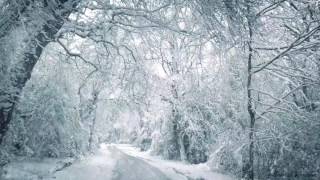 Blizzard Sounds for Sleep, Relaxation & Staying Cool | Snowstorm Sounds & Howlin