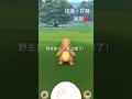 小火龍社群日～抓到多少隻閃光？ pokemongo shorts