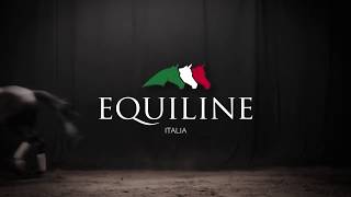 Equiline  - Dressage