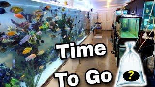 New Fish Rehomed and Updates at Ohio Fish Rescue
