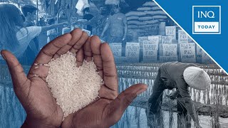 Max suggested retail price of imported rice down to P49 starting March | INQToday