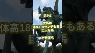 日本の偉人雑学ランキング5選　築城の名手熊本藩初代藩主加藤清正に関する偉人雑学ランキング5選　#雑学 #ランキング #偉人