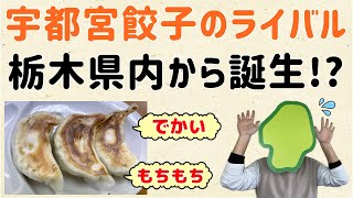 【その名も佐野餃子】宇都宮餃子のライバルが、栃木県内で誕生！？【群馬と栃木の「おとなり劇場」】