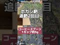 「驚異の超極早生タマネギ！収穫は4月前！ベト病発生前に収穫できる　無農薬＆ボカシ肥料で育てる　2回目追肥作業をご紹介！ shorts」