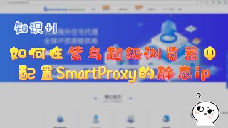 【紫鸟浏览器浏览器】如何配置SmartProxy静态ip？