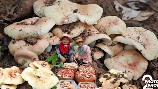 ออกโพดออกโพ!!ล้นสองตะกร้าจนใด้ใส่ถุงเห็ดออกเต็มป่ามองไปทางใหนก็มีแต่เห็ด