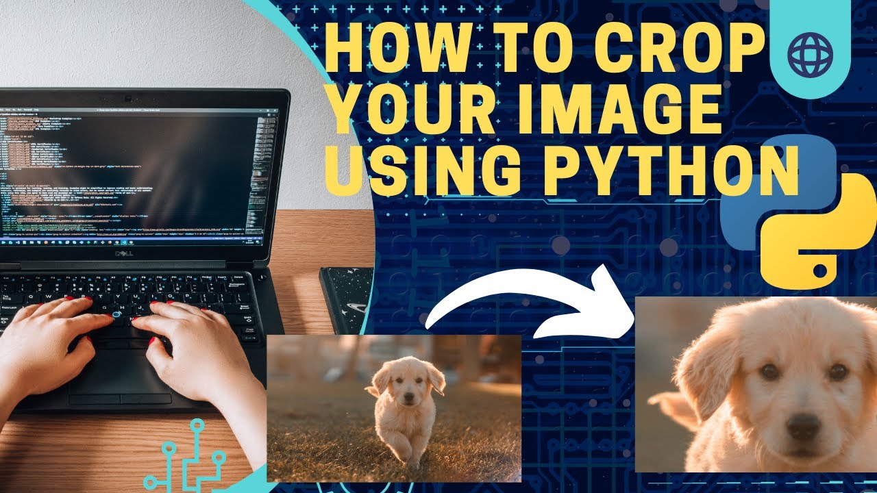 Python Pillow Tutorial How To Crop An Image Like A Pro Youtube