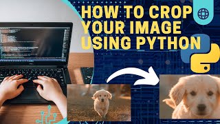 Python Pillow Tutorial: How to Crop an Image Like a Pro