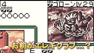 何見とんねん【ポケモンカードGB#3】