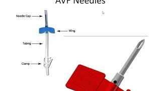 The Dialysis Circuit Part I, Prof Hesham El Sayed