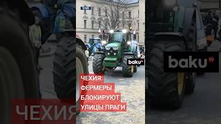 Протест чешских фермеров против аграрной политики ЕС