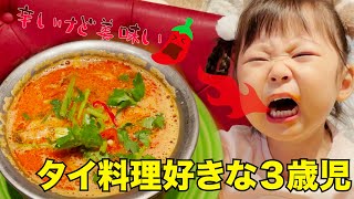 辛い！でも美味い！！トムヤンクンスープが好きなみーちゃん🌶