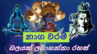 නාග වරම් බලයක් ලබාගන්නා රහස්  ~~විශ්ව ශක්ති දහම්~~ ( 223 )