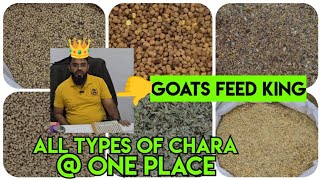 Imran Cattle Feed shop All in one \u0026 best Feed service's available in Hyderabad | Hari patti \u0026 more