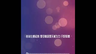 十七岁没说的话   GooGoo 歌词字幕Lyrics