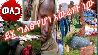 ይሄ ግልፅ የሆነ አውሬነት ማለት ሶስት ቀን ያልሞላው ህፃኑን ልጂ