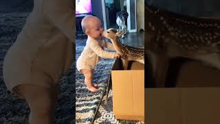 Funny Babies Playing with Deer Compilation - Funny Baby and Pets || Cool Peachy