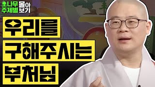 우리를 구해주시는 부처님🪷  [광우스님 소나무 주제별 몰아보기]