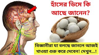 হাঁসের ডিম খেলে কি হয় জানেন?|বিজ্ঞানীরা অবাক করা তথ্য দিলো হাঁসের ডিম সম্পর্কে|হাঁসের ডিমের উপকারিতা