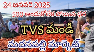 @24 జనవరి 2025 || మదనపల్లి టమోటా ధరలు టుడే 🍅|| మదనపల్లి టమోటా మార్కెట్ రేట్స్ 🍅